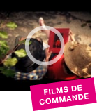 Clip 